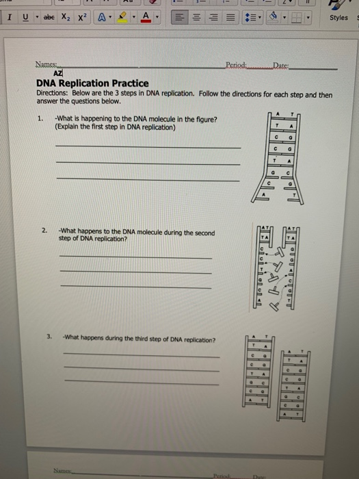 dna replication review worksheet