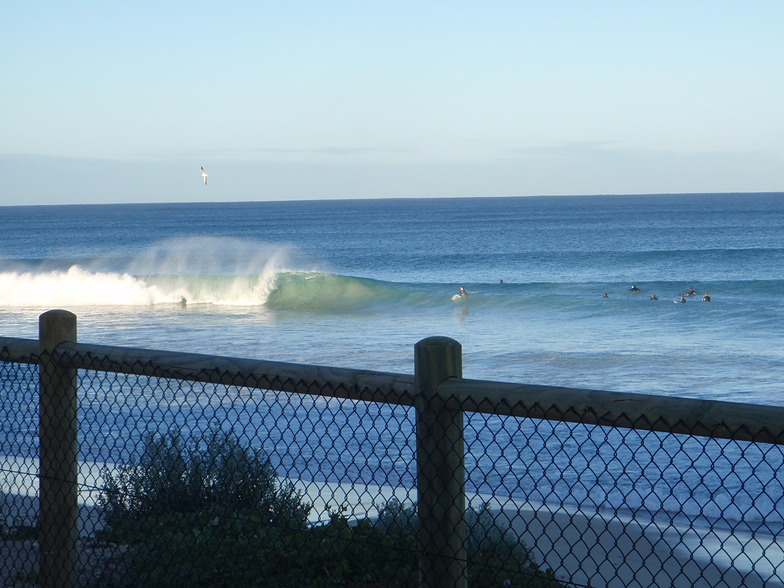 the spot surf report