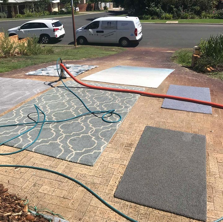 rug cleaning perth drop off