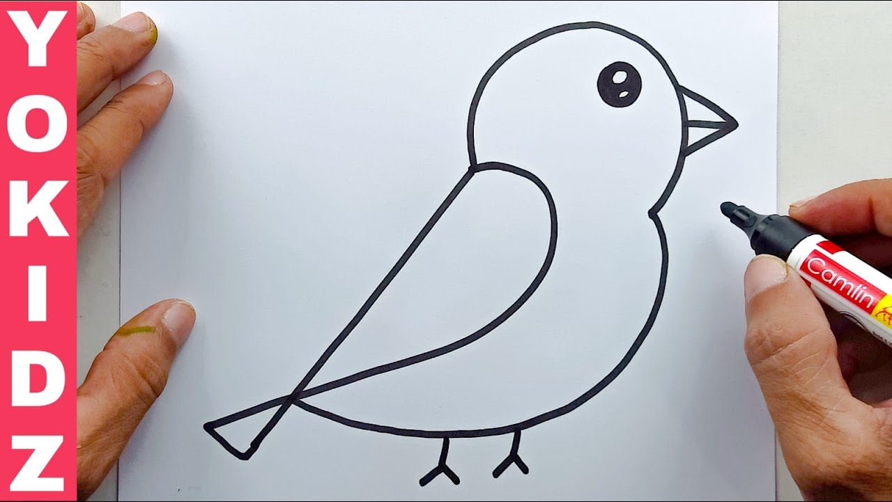 how to draw a bird easy