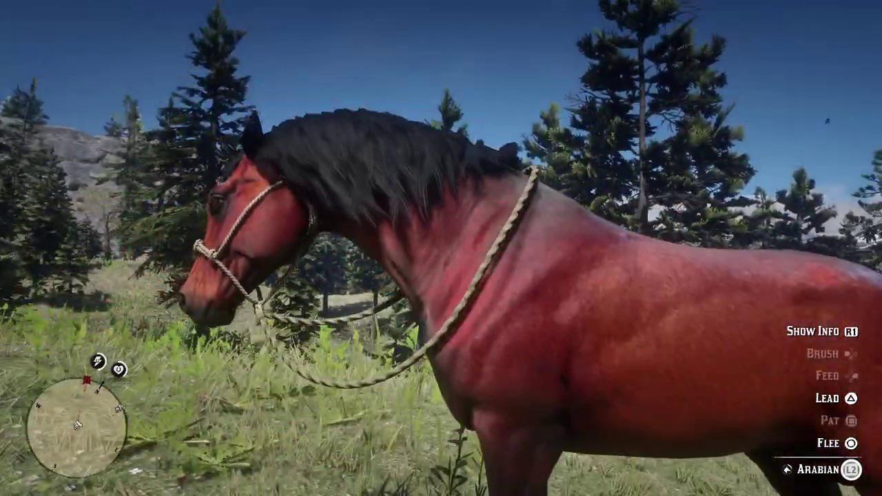 red arabian horse rdr2