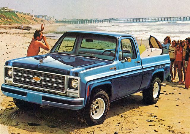 chevrolet 1979 pick up