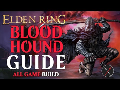 bloodhound fang build