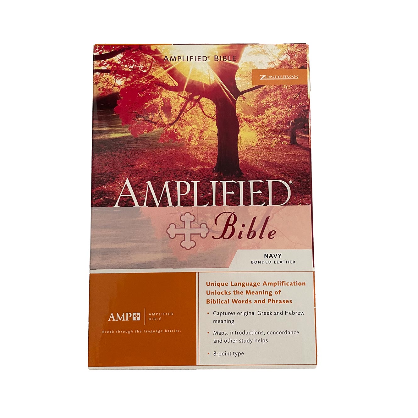 amp bible