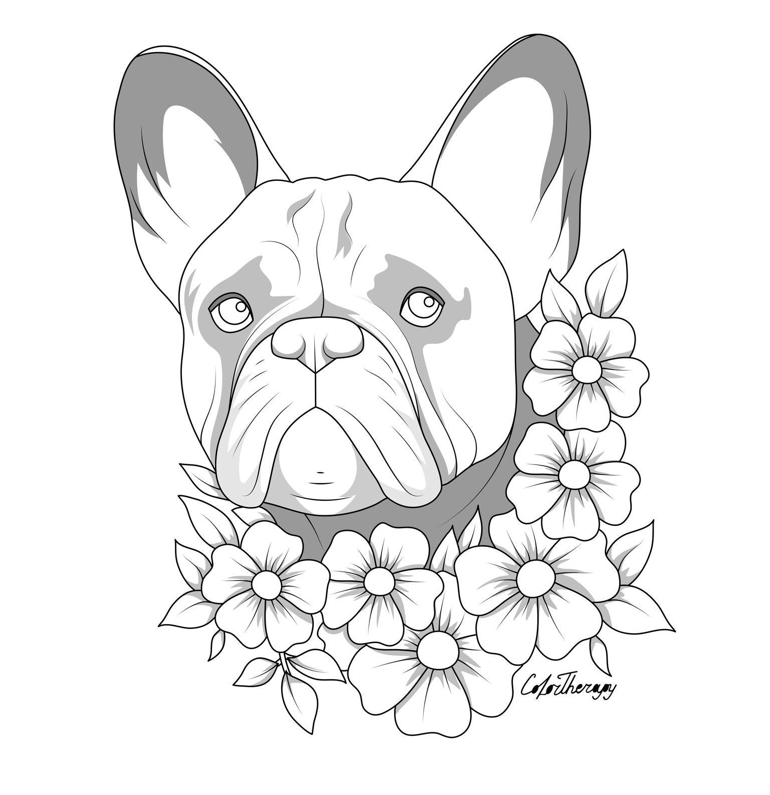 french bulldog coloring sheets