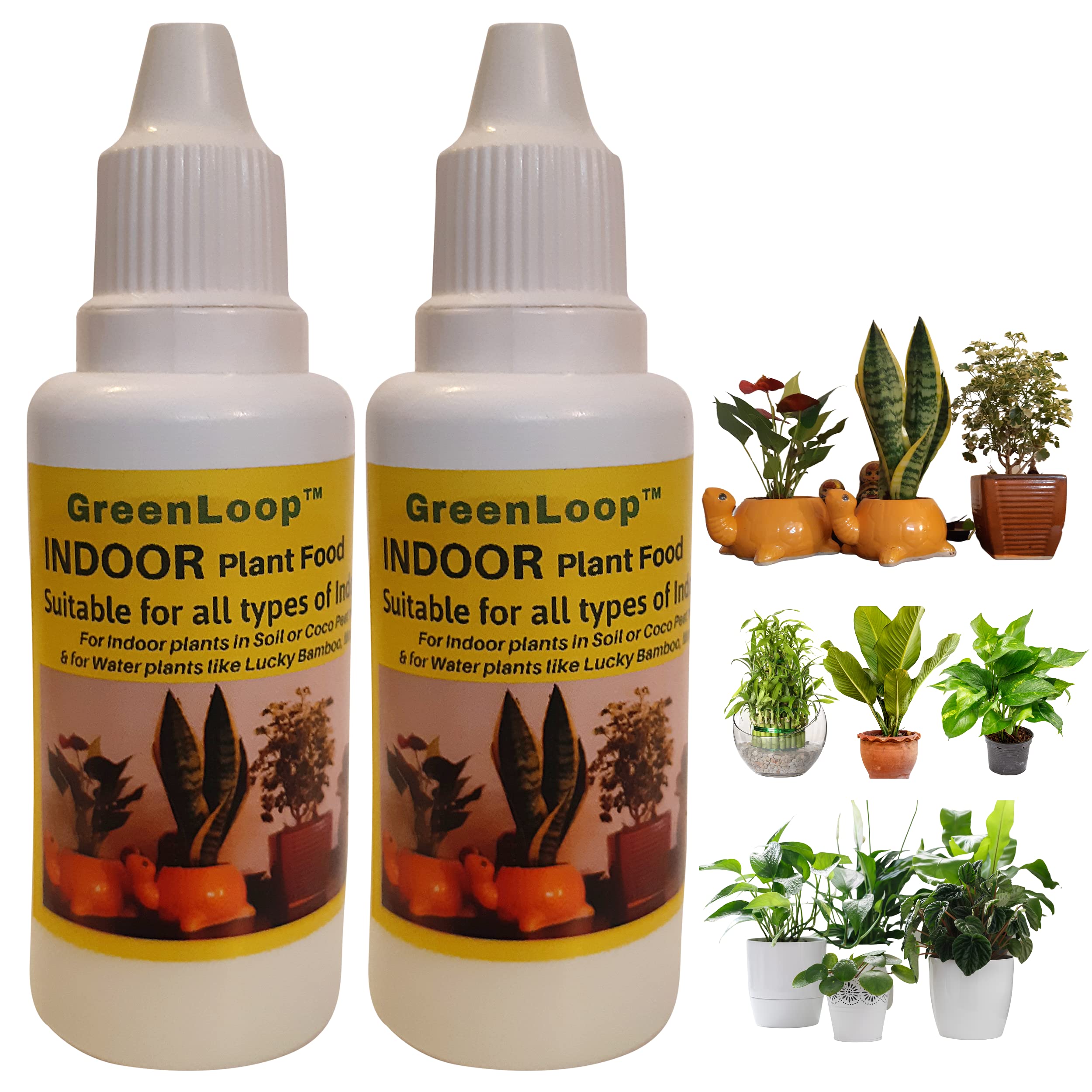 best liquid fertilizer for indoor plants