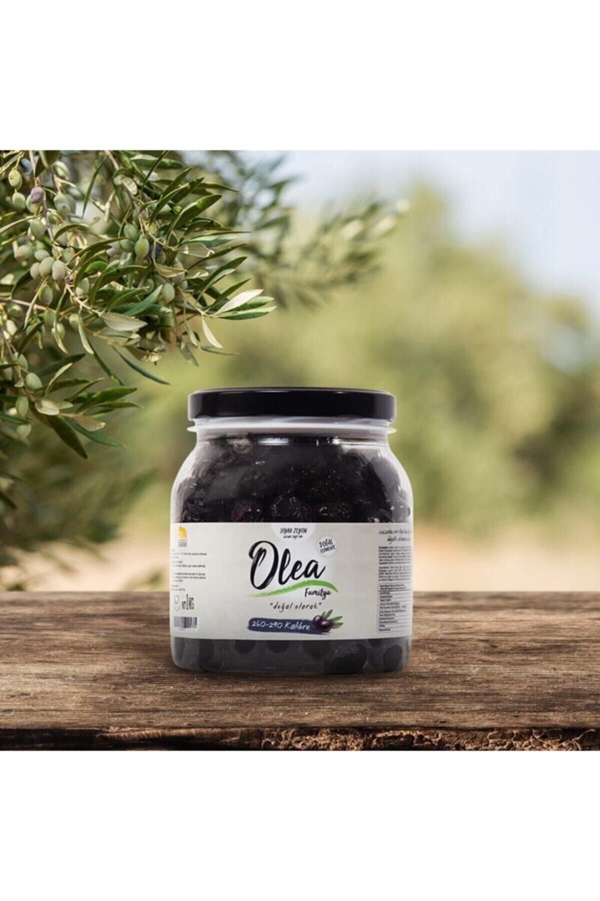 olea zeytin 1 kg