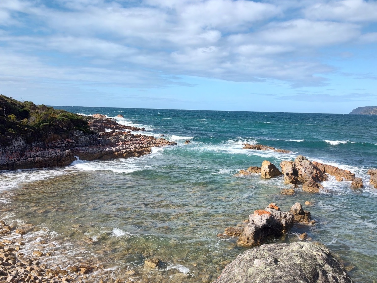 seekers bar & cafe boat harbour beach