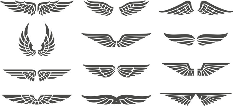 wings illustration vector