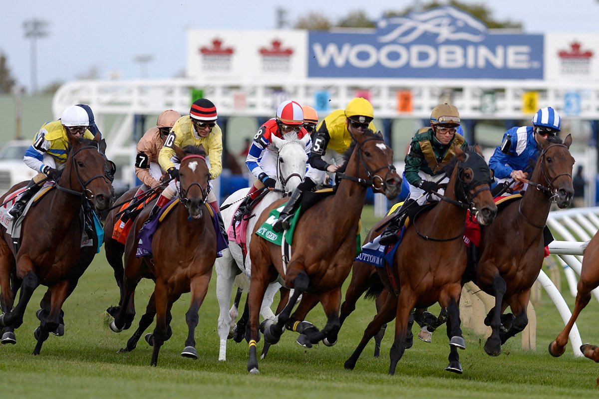 woodbine entertainment