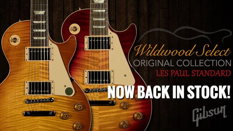 wildwood guitars louisville