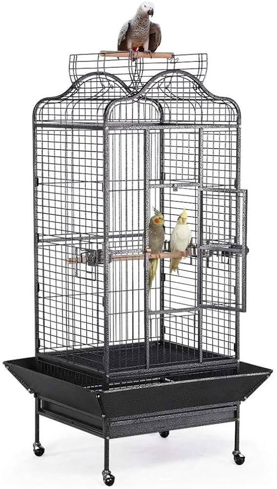 bird cages for sale