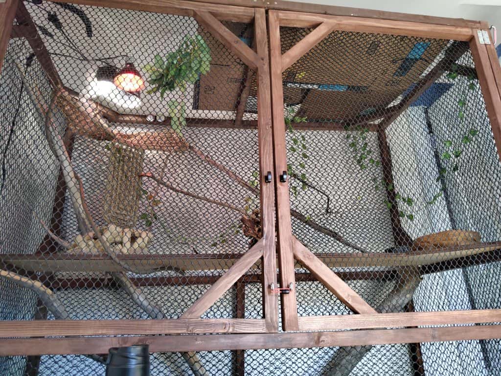 diy iguana enclosure