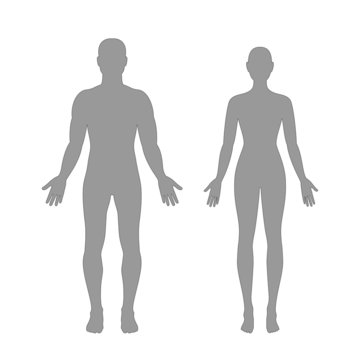 human body clipart