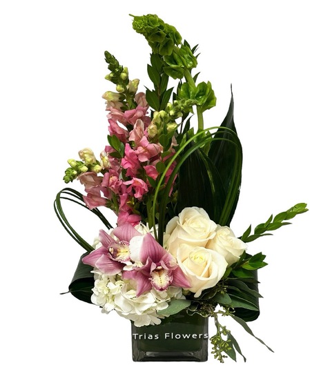 www.trias flowers.com