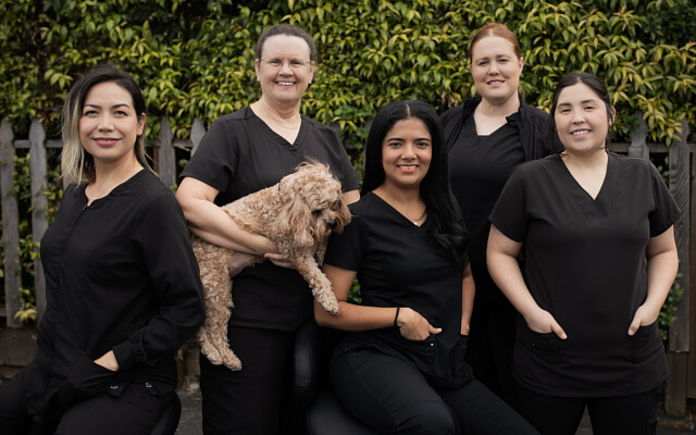 dentist sebastopol ca