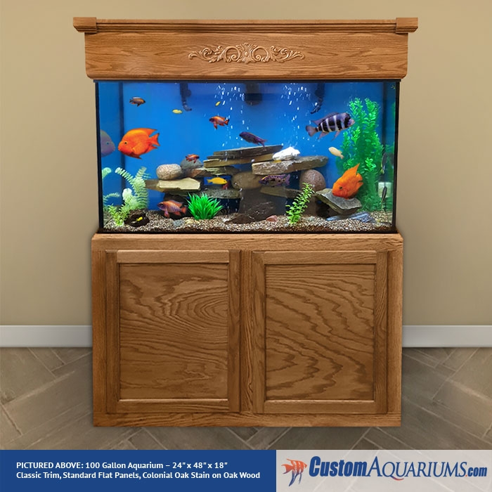 100 gallon fish tank