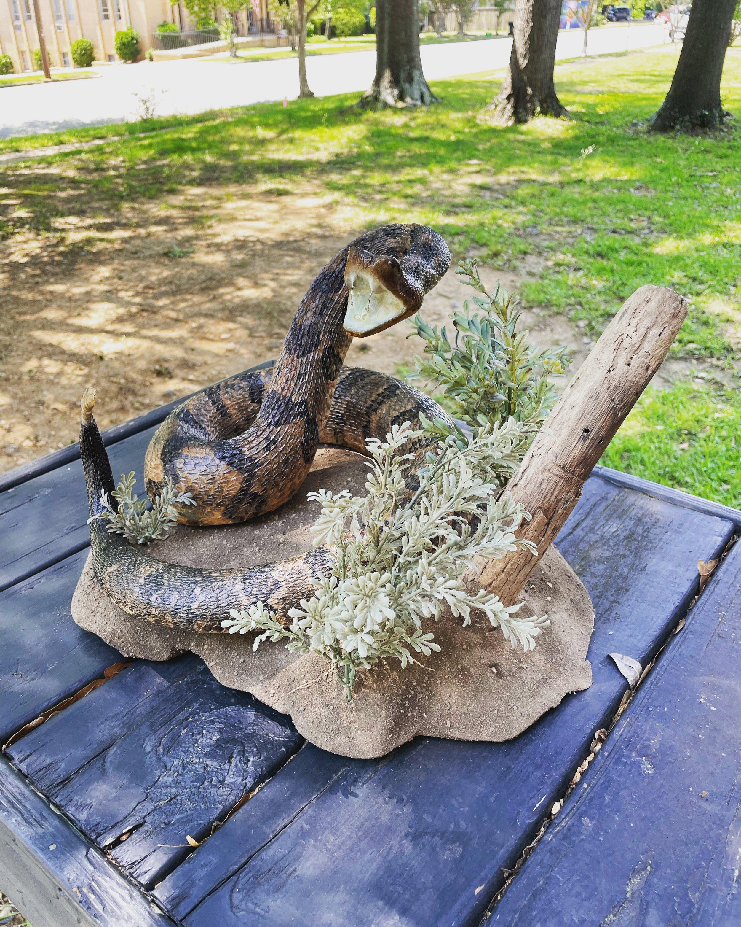 taxidermy snake