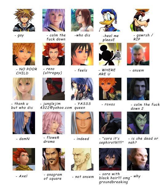 kingdom hearts characters names