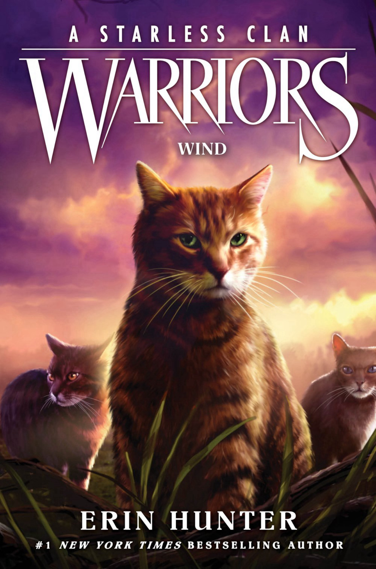 warrior cats