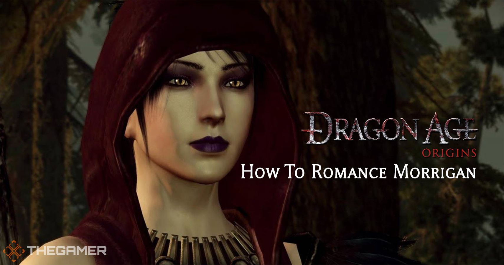 dragon age origins morrigan