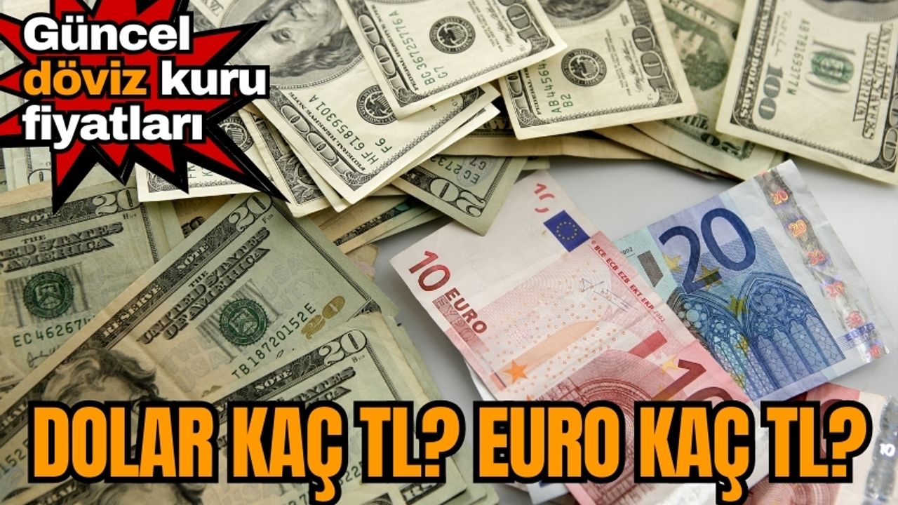 1135 euro kaç tl