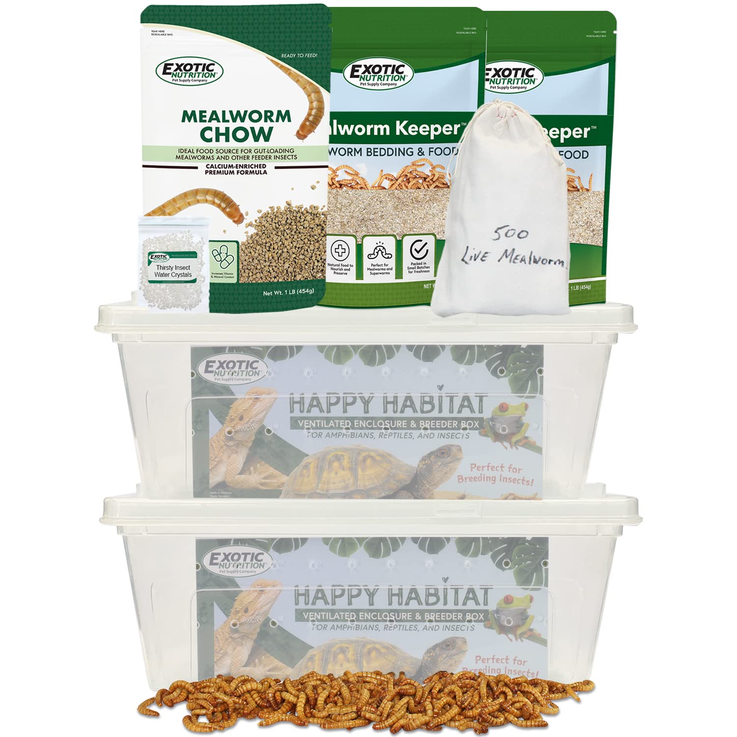 mealworm breeding kit