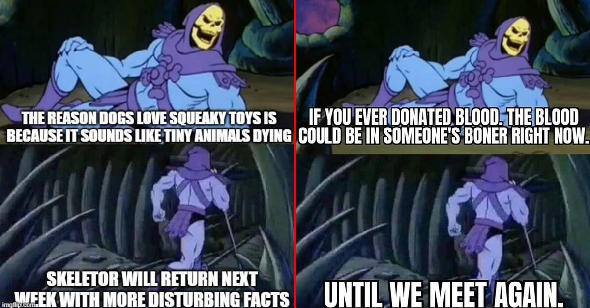 skeletor meme