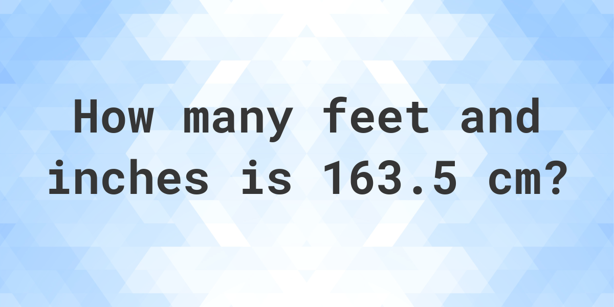 163.5 cm in feet