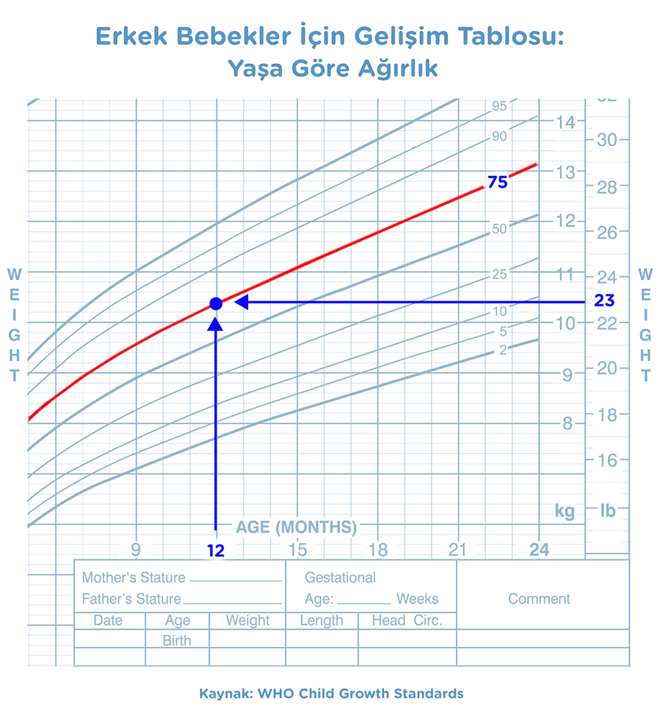 12 aylık erkek bebek baş çevresi