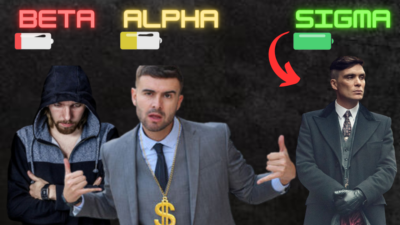 alpha vs beta vs sigma male