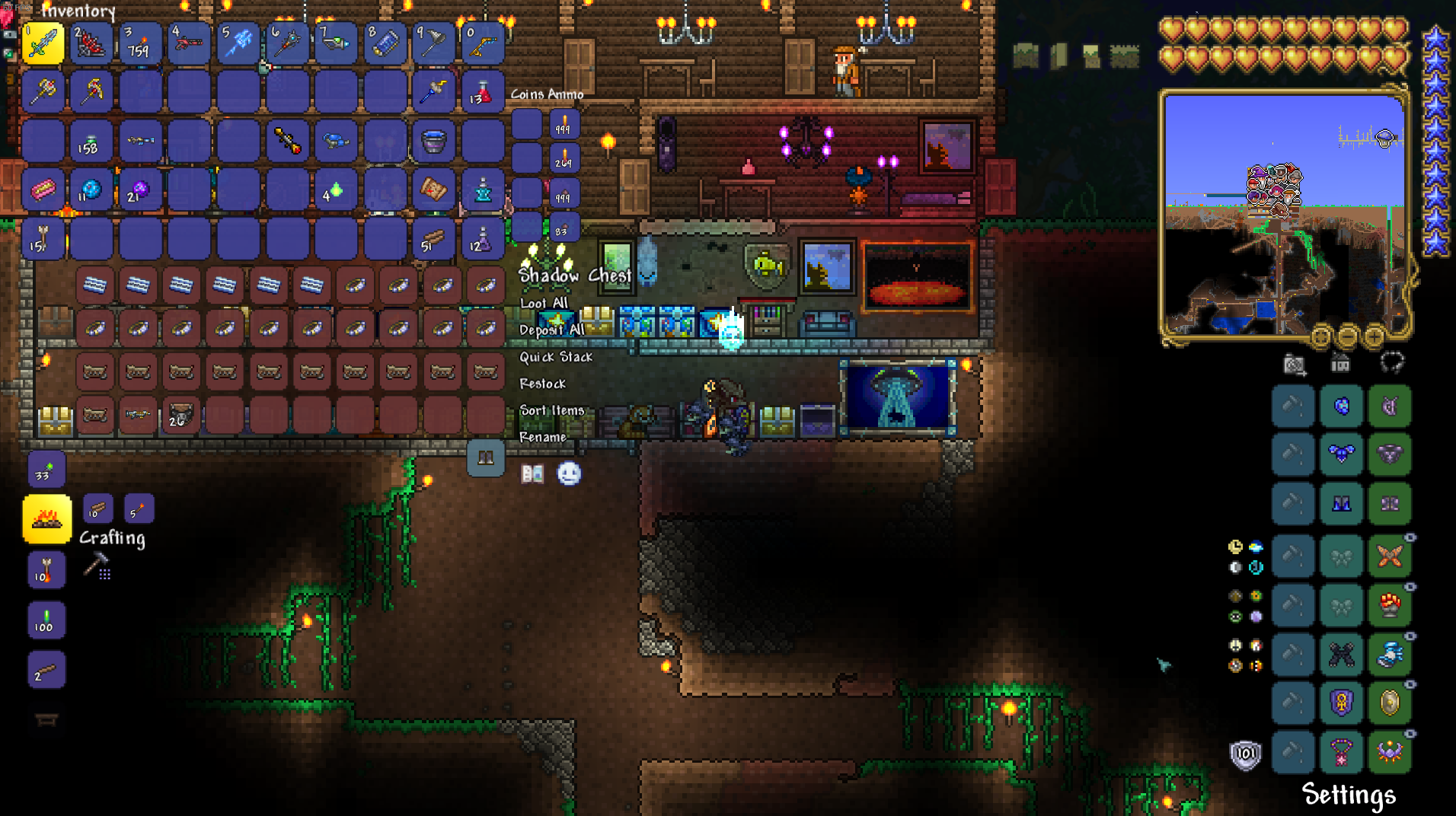 lucky coin terraria