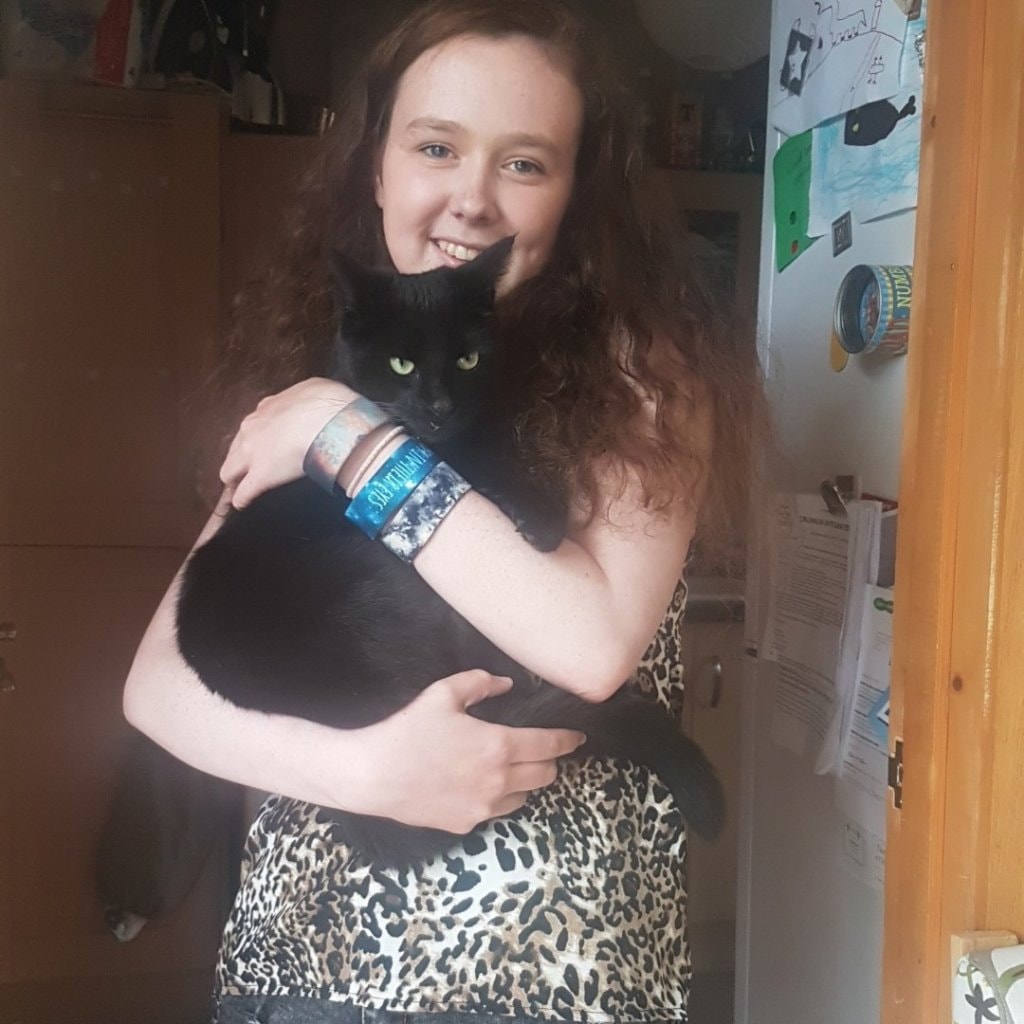 cat sitter belfast