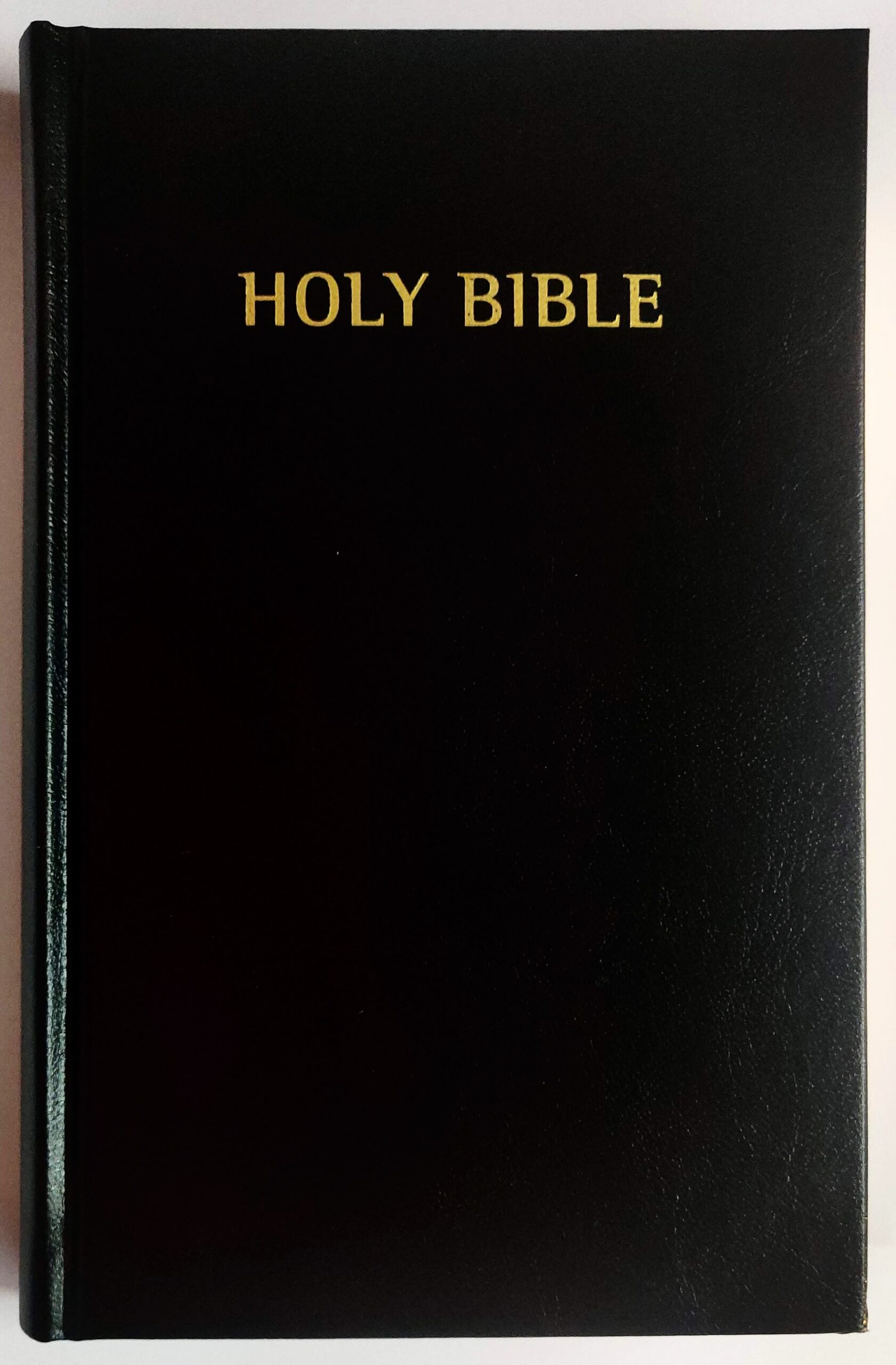 bible erv version