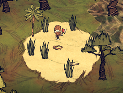 dont starve ring thing