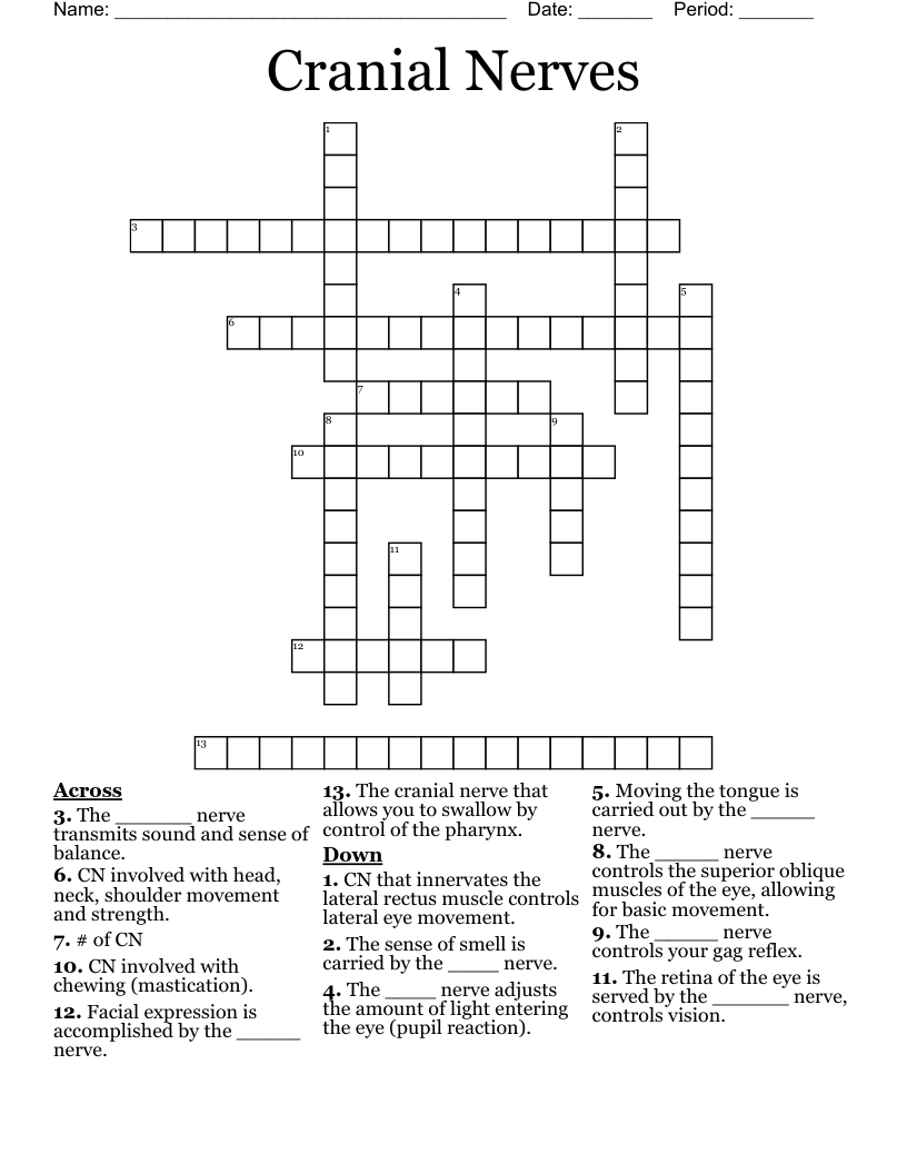 show some nerve crossword