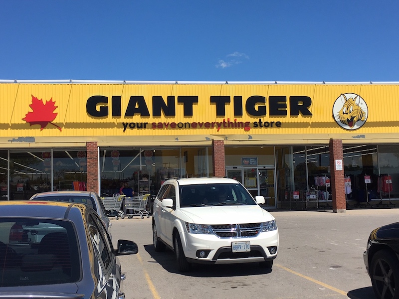 giant tiger hours