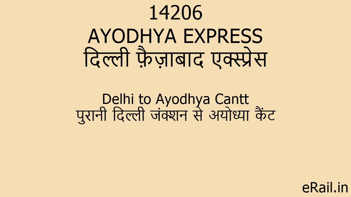 14206 coach position