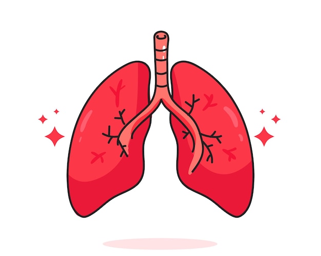 lungs cartoon