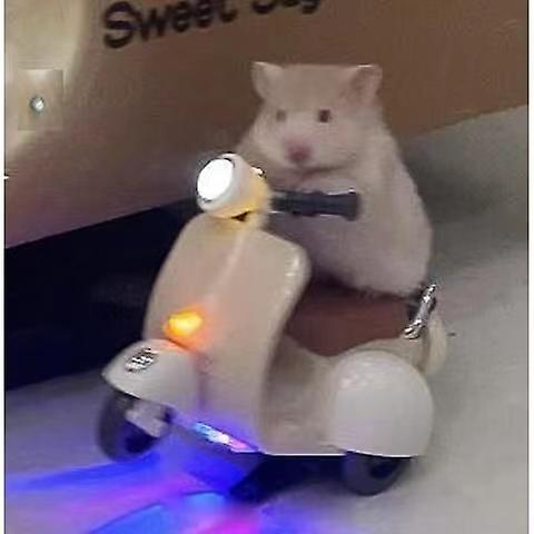 hamster motorcycle