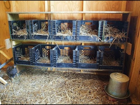 chicken nesting baskets