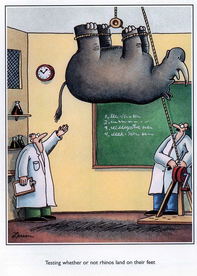 far side cartoons