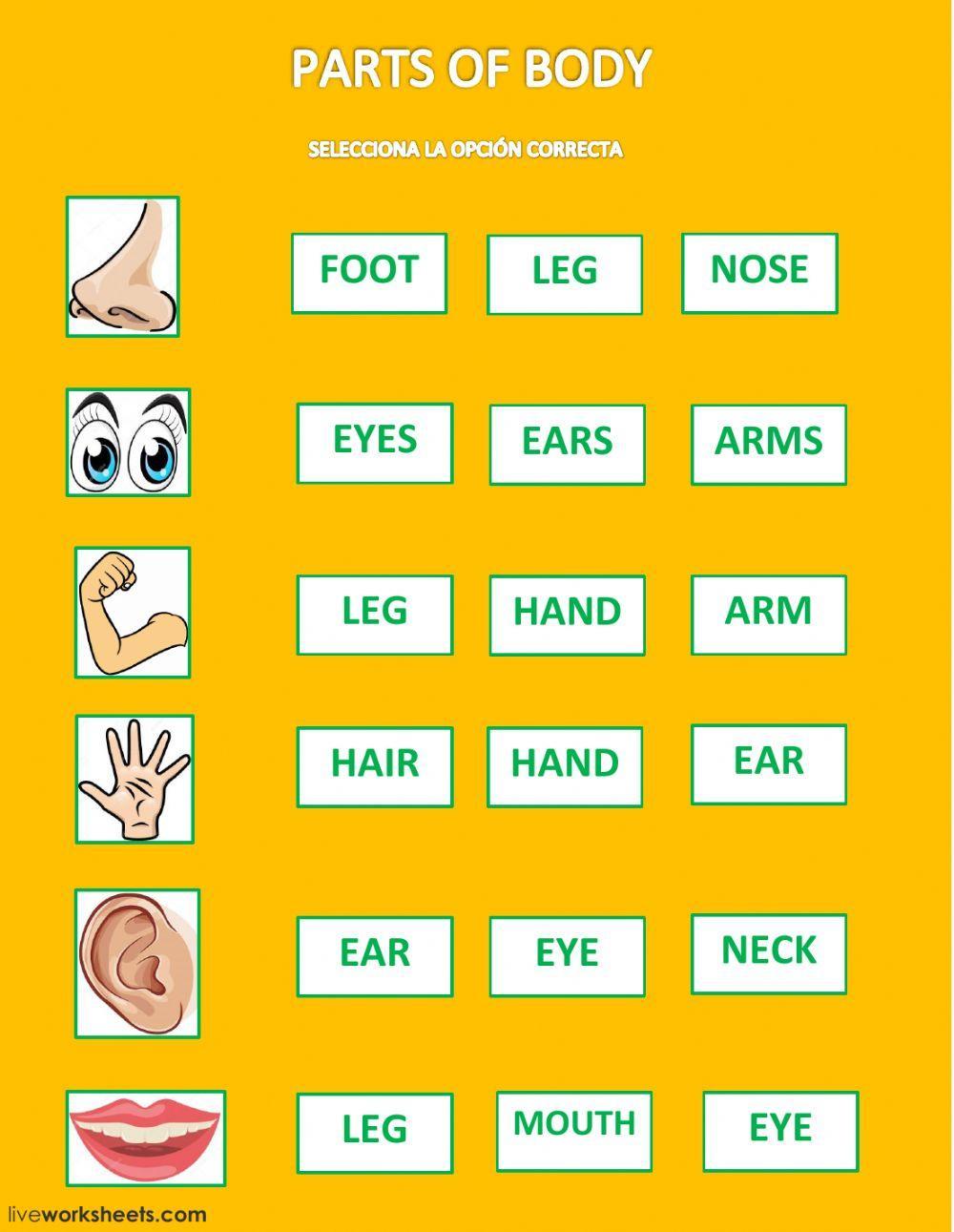 body parts live worksheet