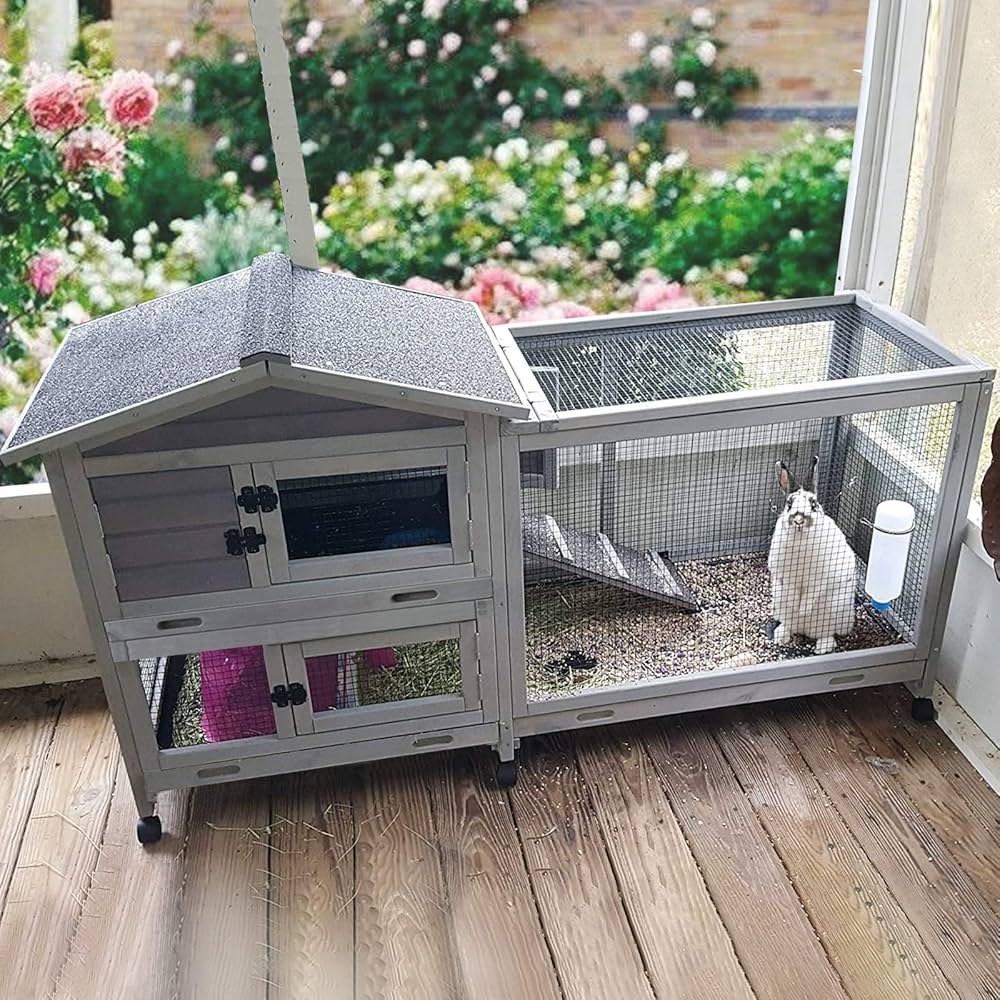 best hutches for guinea pigs