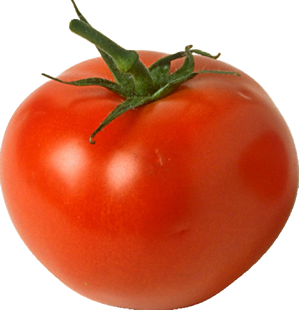 is tomato a fruit or vegetable yahoo answers