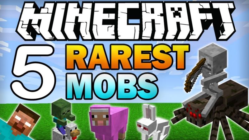 what is the rarest mod in minecraft