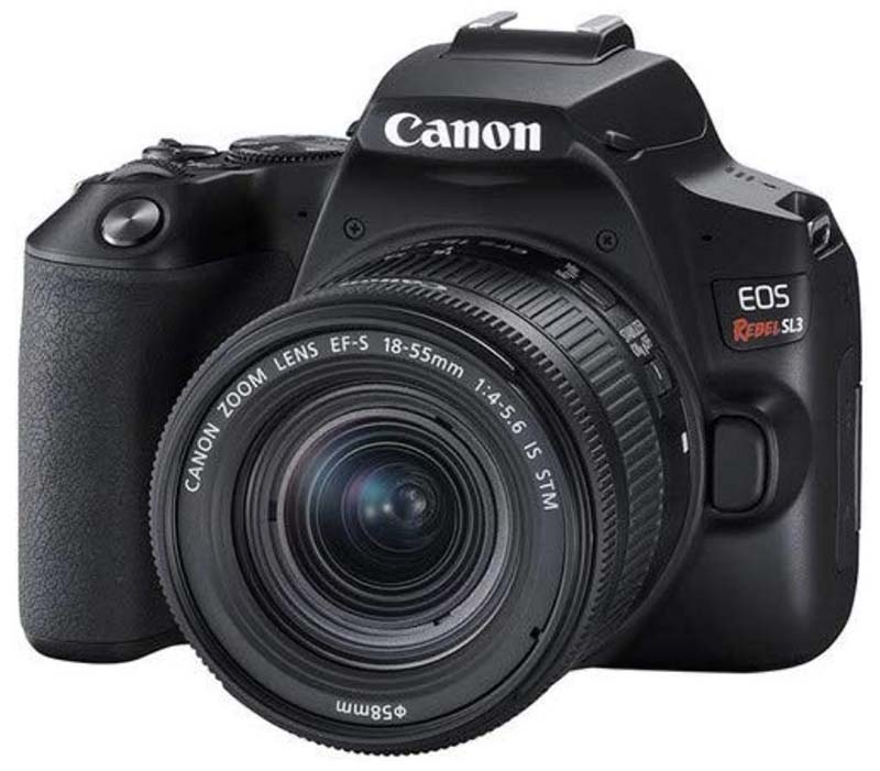 entry level dslr camera 2019