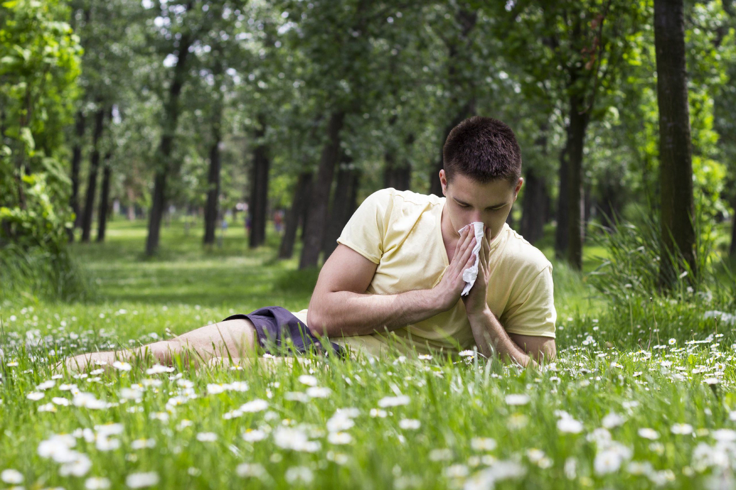 grass pollen today