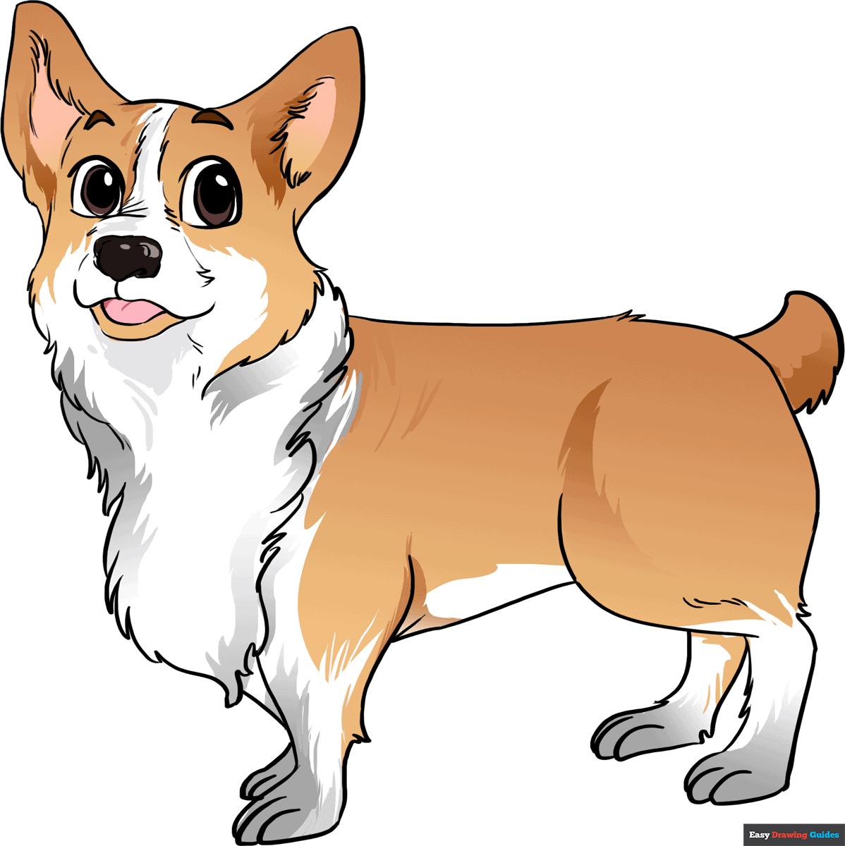 how to draw a corgi