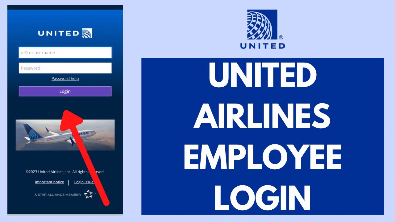 united flying together intranet